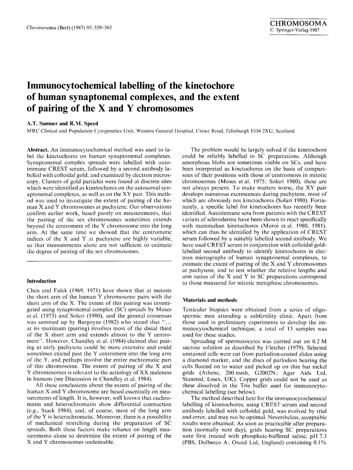 Immunocytochemical labelling of the kinetochore of human synaptonemal complexes, and the extent of pairing of the X and Y chromosomes by Unknown