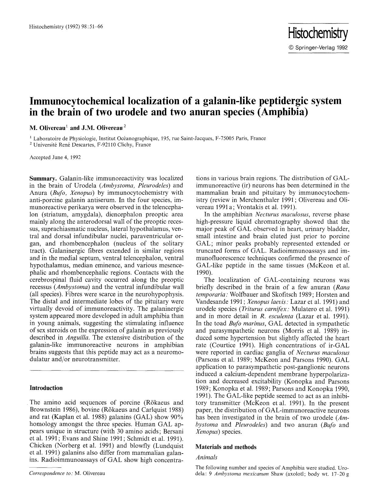 Immunocytochemical localization of a galanin-like peptidergic system in the brain of two urodele and two anuran species (Amphibia) by Unknown