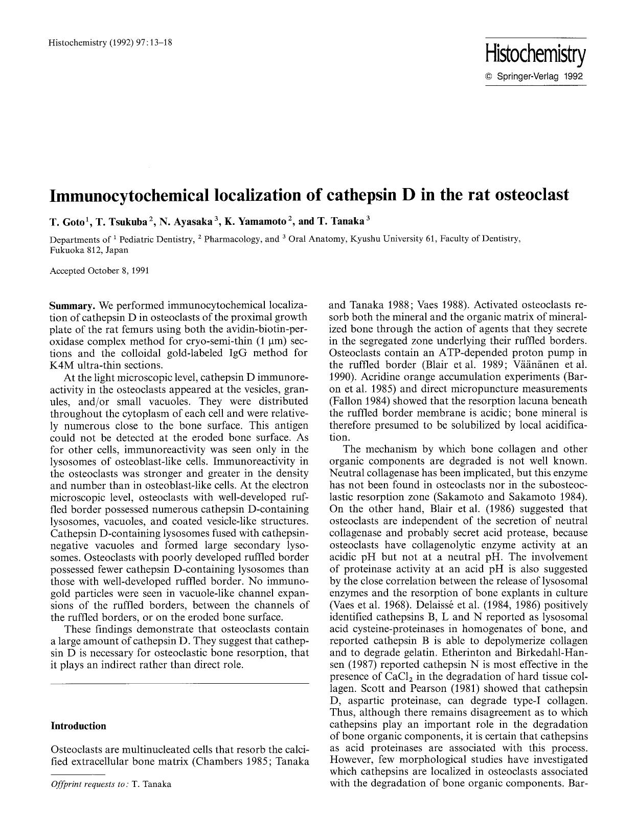 Immunocytochemical localization of cathepsin D in the rat osteoclast by Unknown