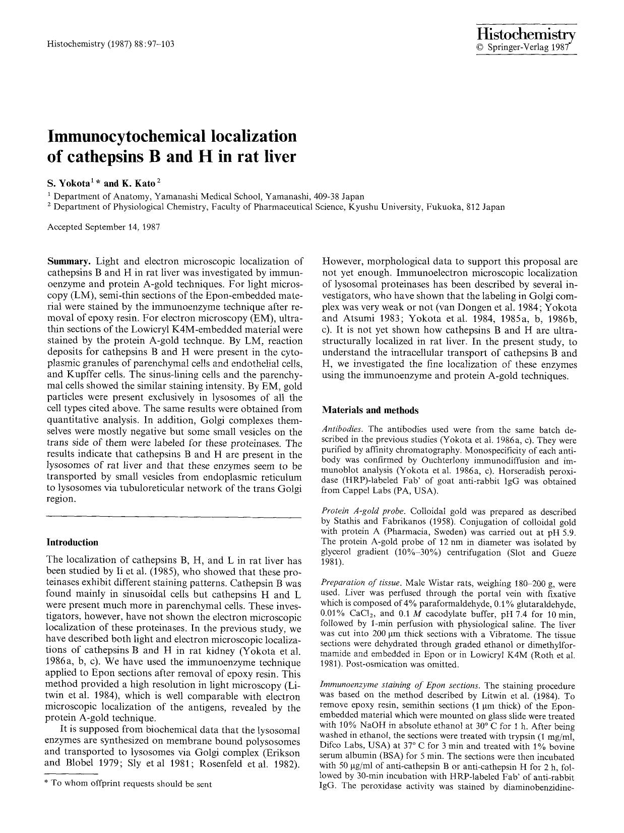Immunocytochemical localization of cathepsins B and H in rat liver by Unknown