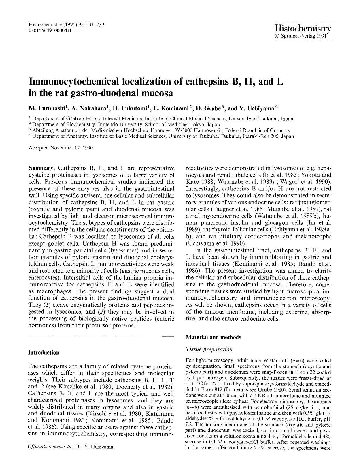 Immunocytochemical localization of cathepsins B, H, and L in the rat gastro-duodenal mucosa by Unknown