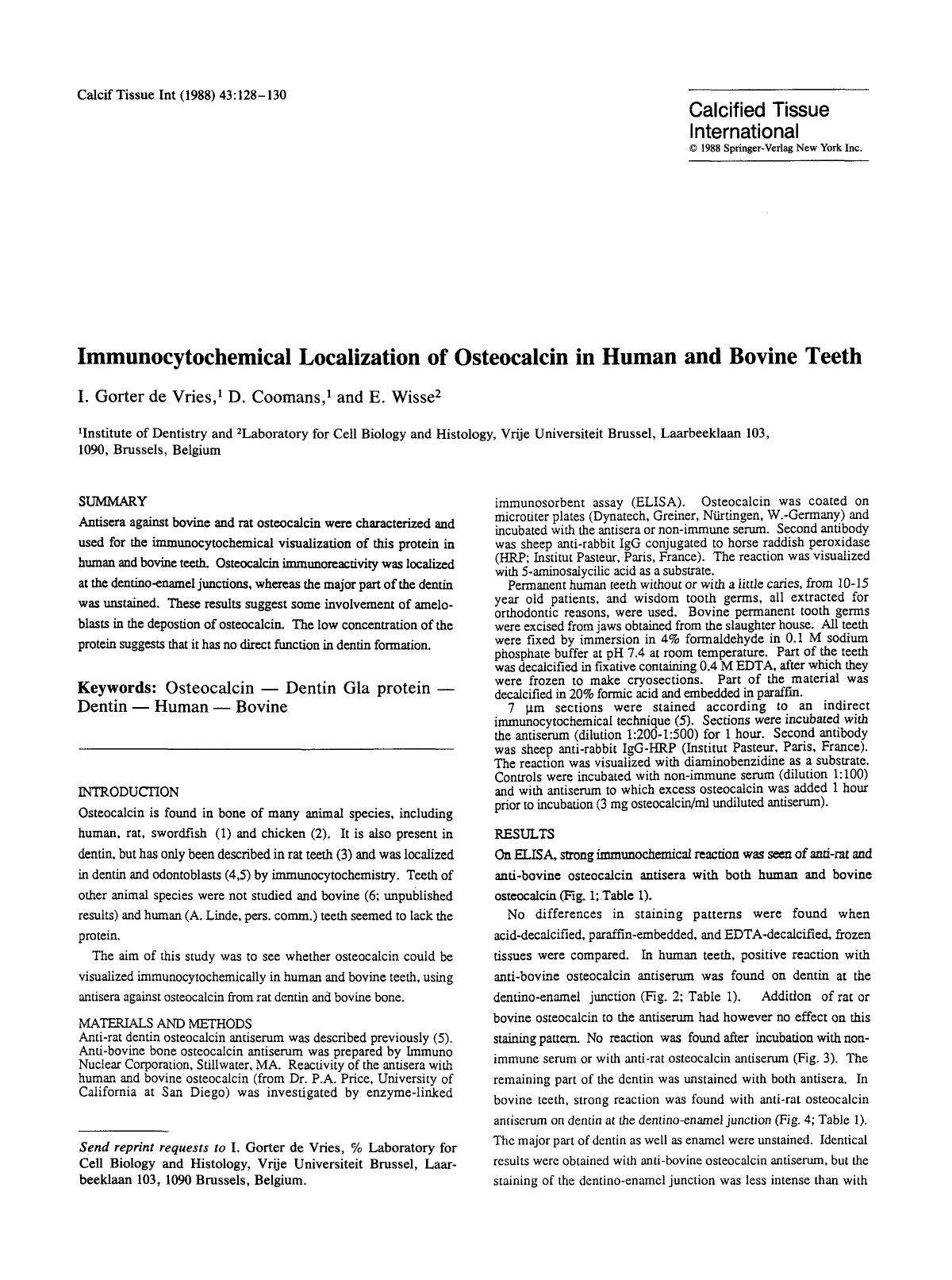 Immunocytochemical localization of osteocalcin in human and bovine teeth by Unknown