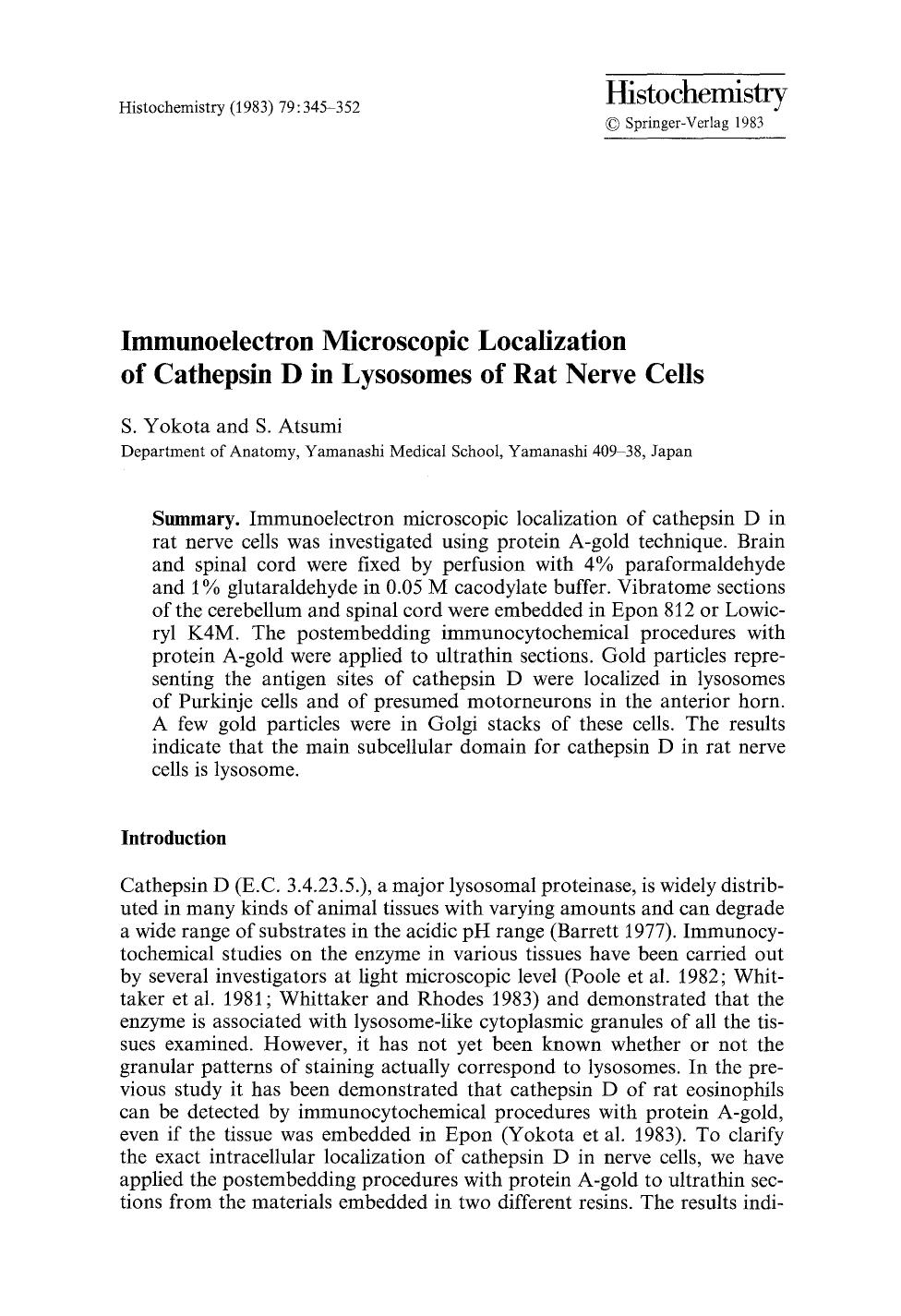 Immunoelectron microscopic localization of cathepsin D in lysosomes of rat nerve cells by Unknown