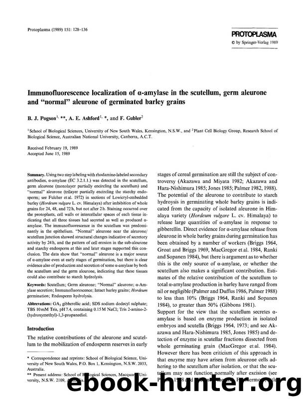 Immunofluorescence localization of &#x03B1;-amylase in the scutellum, germ aleurone and &#x201C;normal&#x201D; aleurone of germinated barley grains by Unknown