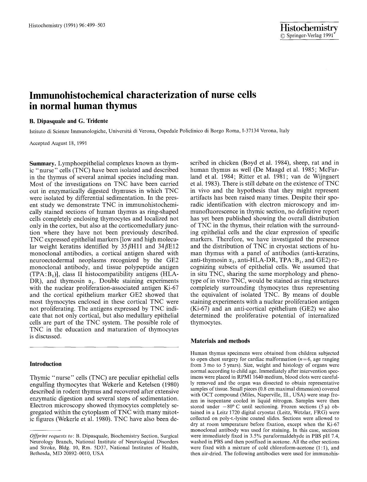 Immunohistochemical characterization of nurse cells in normal human thymus by Unknown