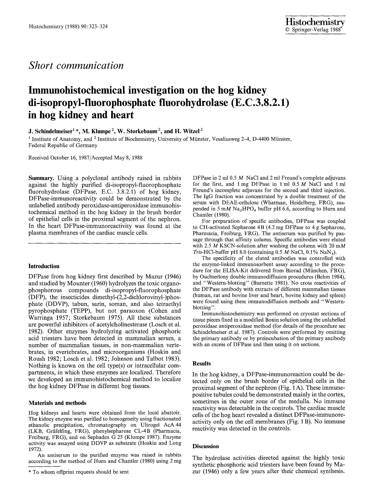 Immunohistochemical investigation on the hog kidney di-isopropyl-fluorophosphate fluorohydrolase (E.C.3.8.2.1) in hog kidney and heart by Unknown