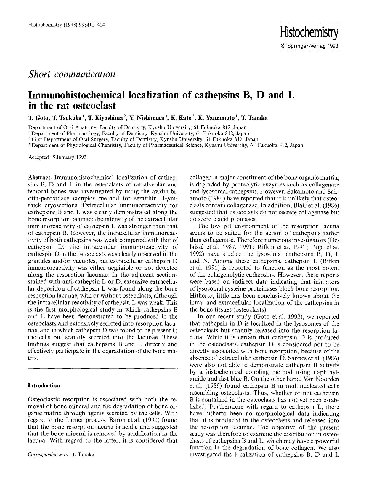 Immunohistochemical localization of cathepsins B, D and L in the rat osteoclast by Unknown