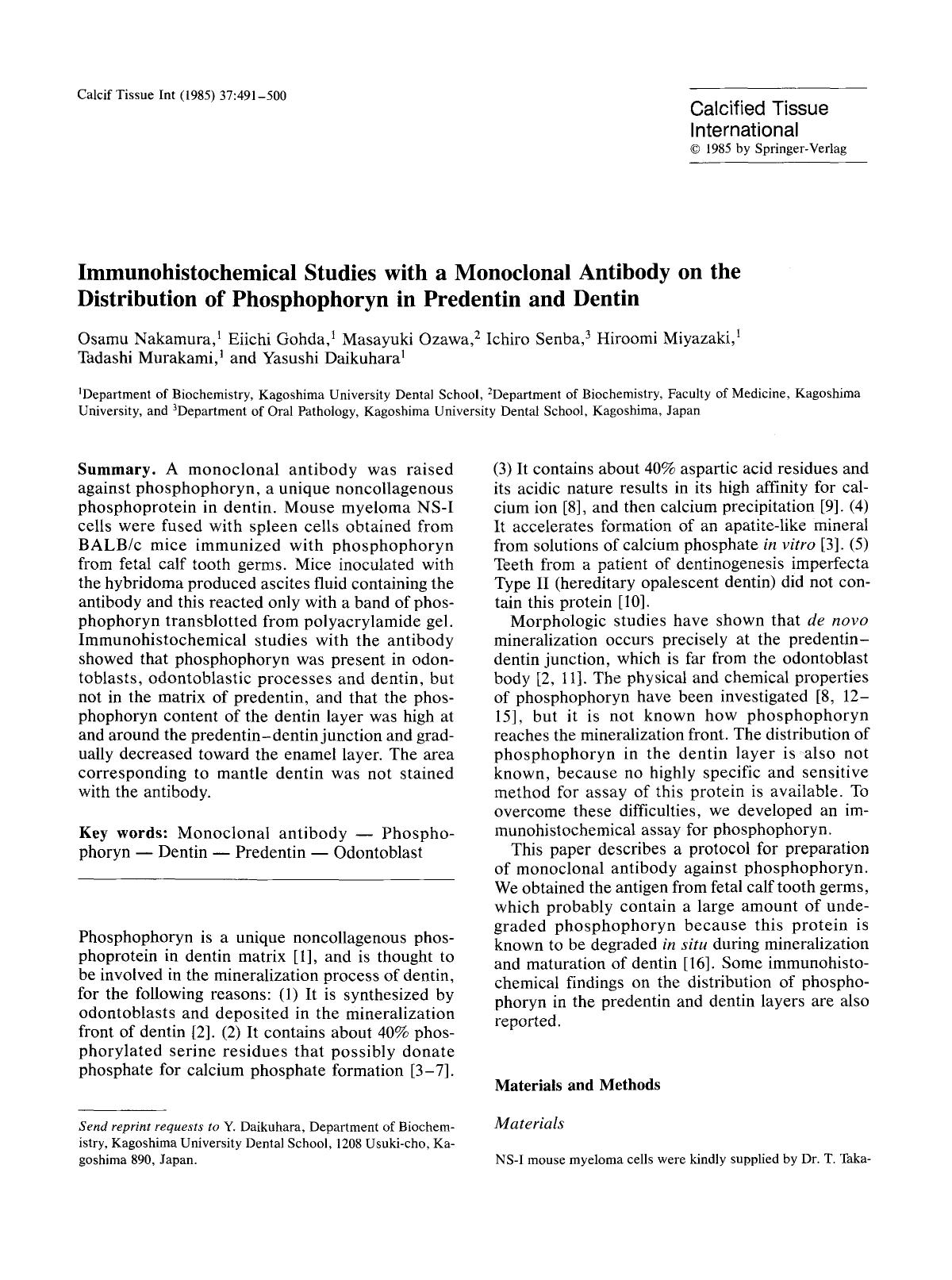 Immunohistochemical studies with a monoclonal antibody on the distribution of phosphophoryn in predentin and dentin by Unknown