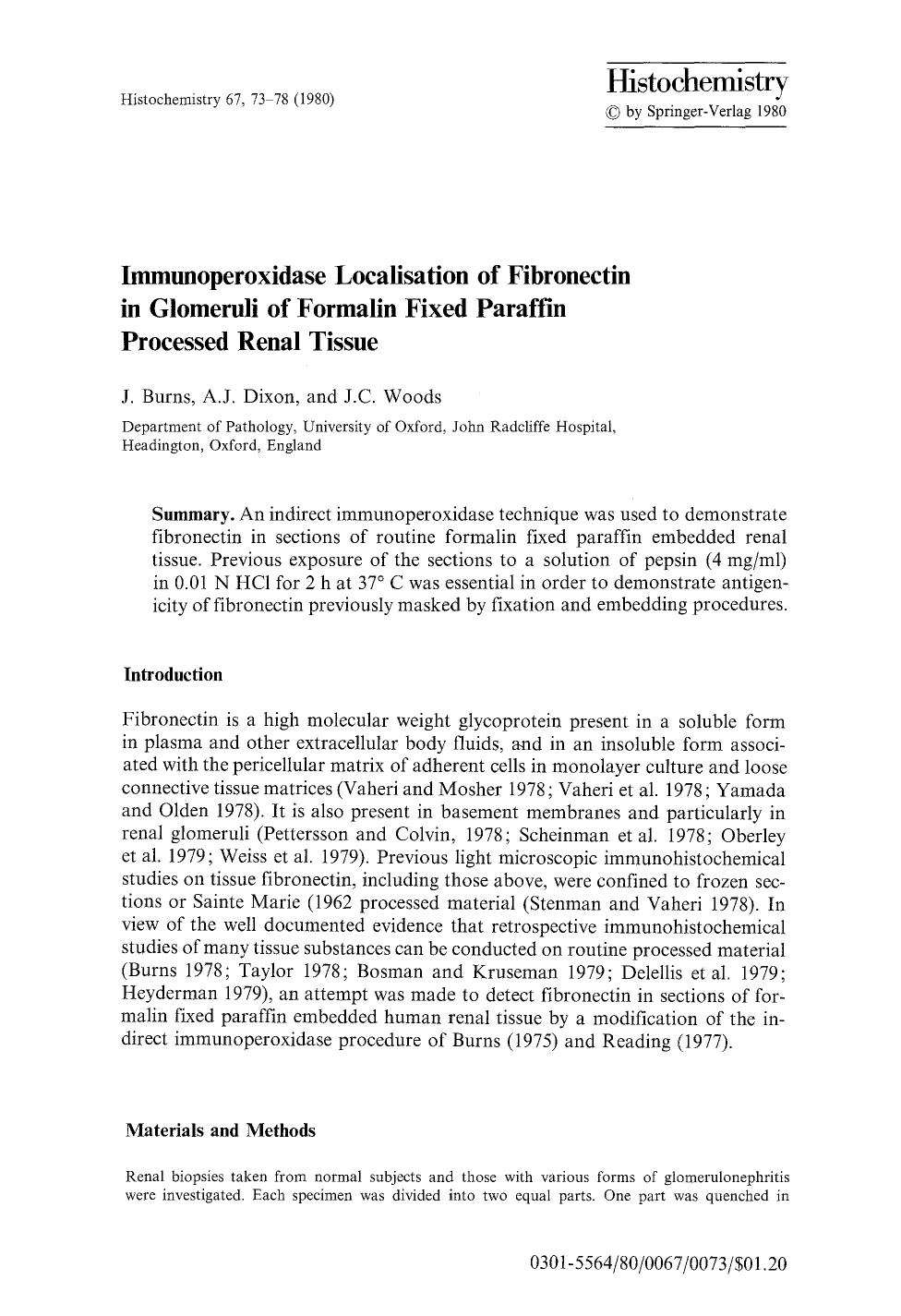 Immunoperoxidase localisation of fibronectin in glomeruli of formalin fixed paraffin processed renal tissue by Unknown