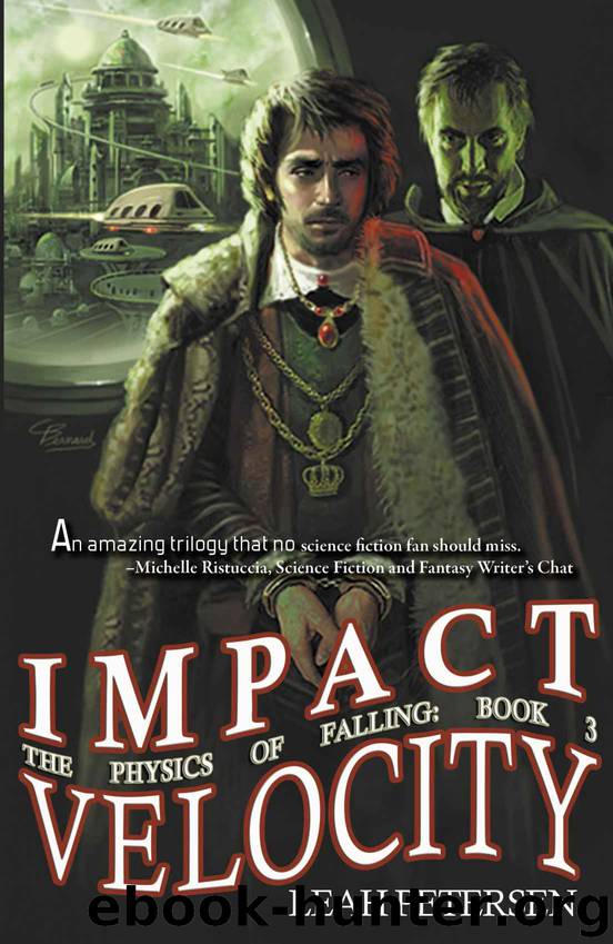Impact Velocity (The Physics of Falling) by Leah Petersen