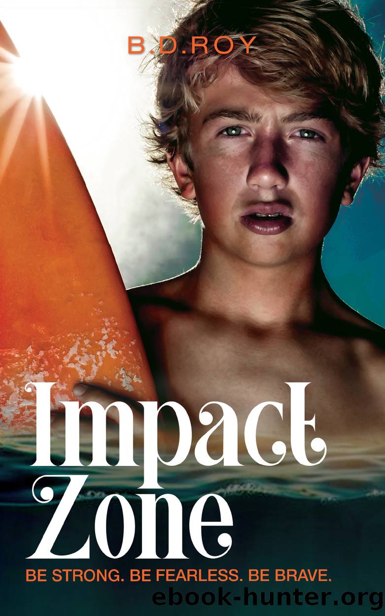 Impact Zone by B.D. Roy