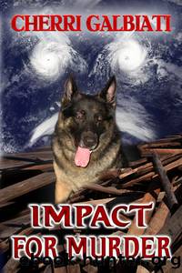 Impact for Murder by Cherri Galbiati