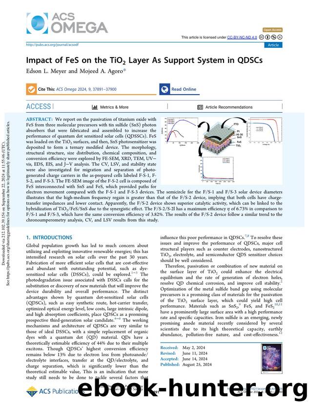 Impact of FeS on the TiO2 Layer As Support System in QDSCs by Edson L. Meyer & Mojeed A. Agoro