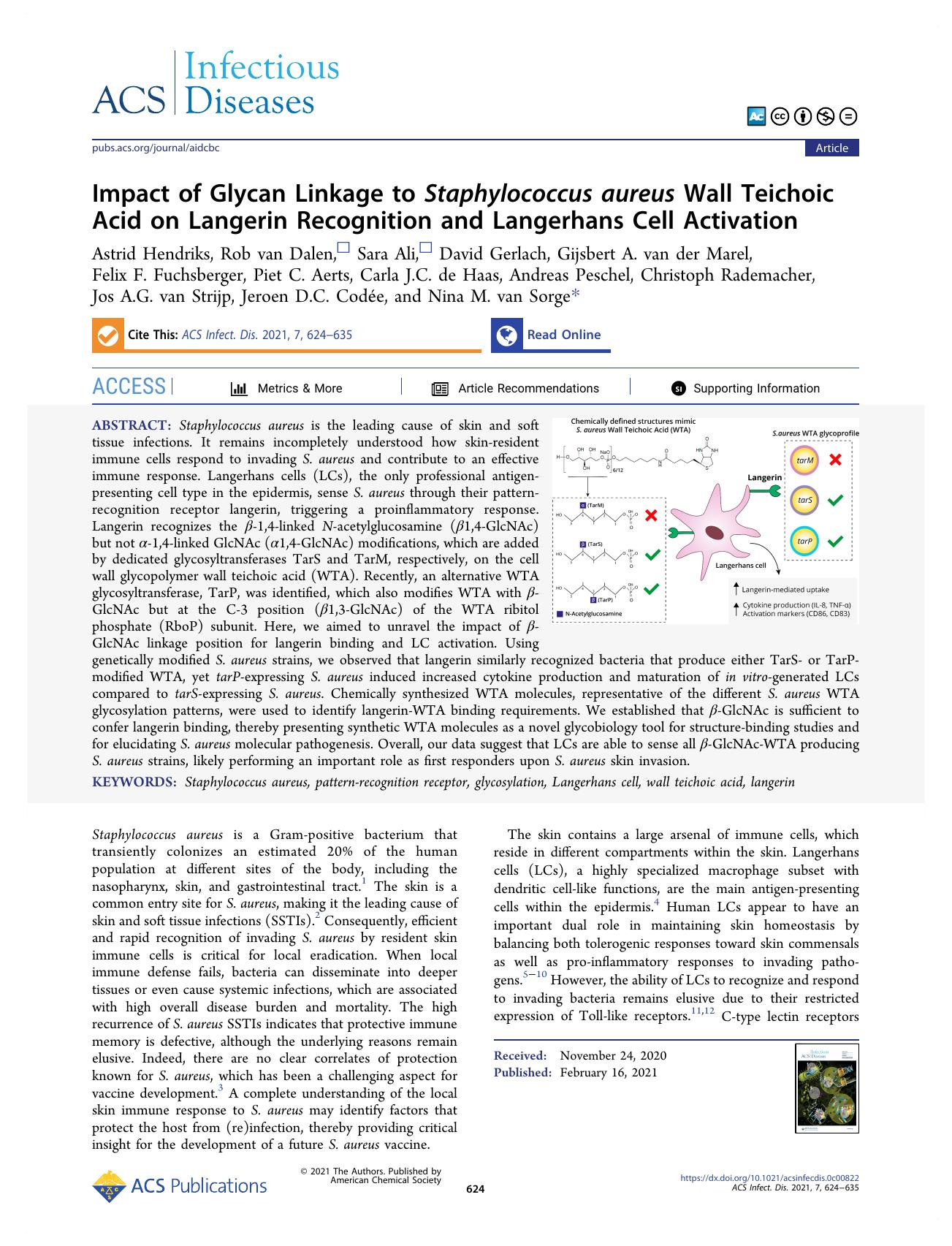Impact of Glycan Linkage to Staphylococcus aureus Wall Teichoic Acid on Langerin Recognition and Langerhans Cell Activation by unknow