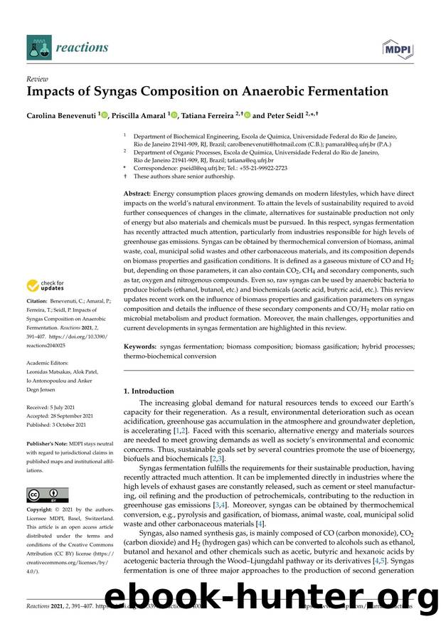 Impacts of Syngas Composition on Anaerobic Fermentation by Carolina Benevenuti Priscilla Amaral Tatiana Ferreira & Peter Seidl