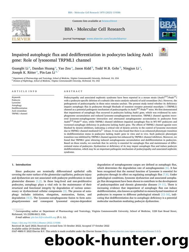 Impaired autophagic flux and dedifferentiation in podocytes lacking Asah1 gene: Role of lysosomal TRPML1 channel by unknow