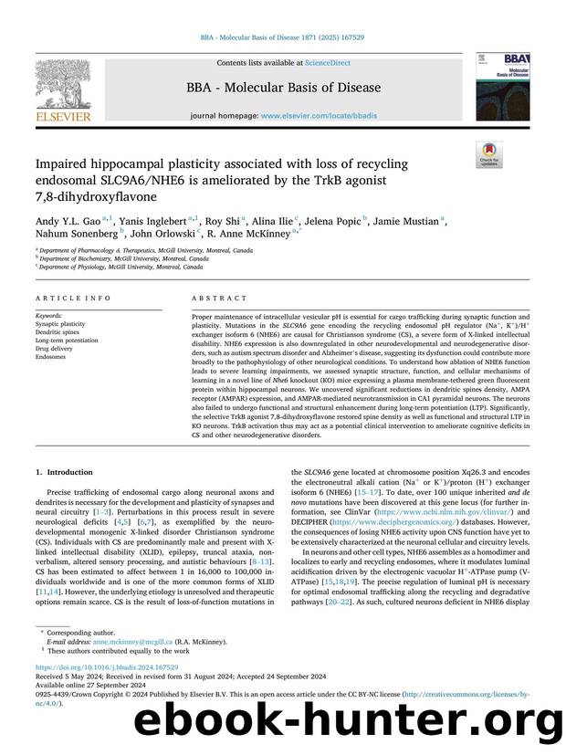 Impaired hippocampal plasticity associated with loss of recycling endosomal SLC9A6NHE6 is ameliorated by the TrkB agonist 7,8-dihydroxyflavone by unknow