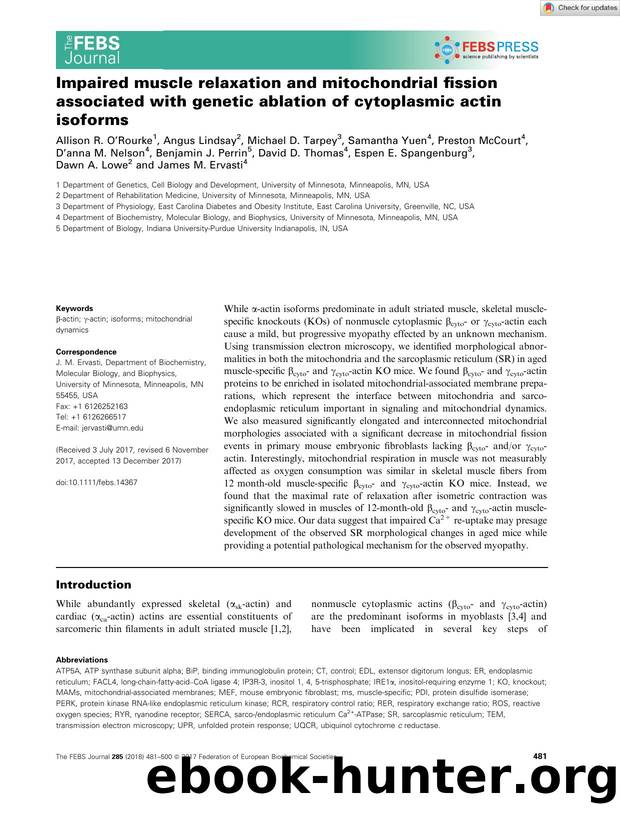 Impaired muscle relaxation and mitochondrial fission associated with genetic ablation of cytoplasmic actin isoforms by Unknown