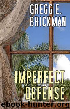 Imperfect Defense by Gregg E Brickman