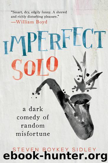 Imperfect Solo by Steven Boykey Sidley