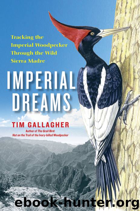 Imperial Dreams by Tim Gallagher