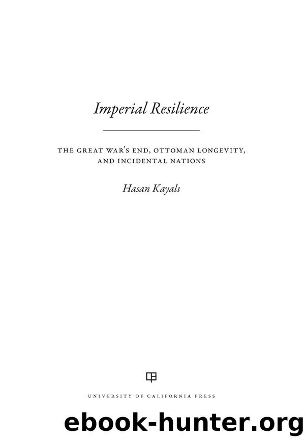 Imperial Resilience by Kayali Hasan;