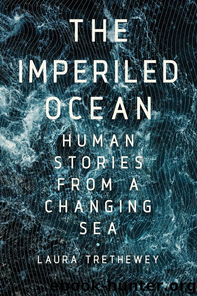 Imperiled Ocean by Laura Trethewey