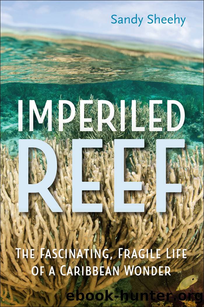 Imperiled Reef by Sandy Sheehy;