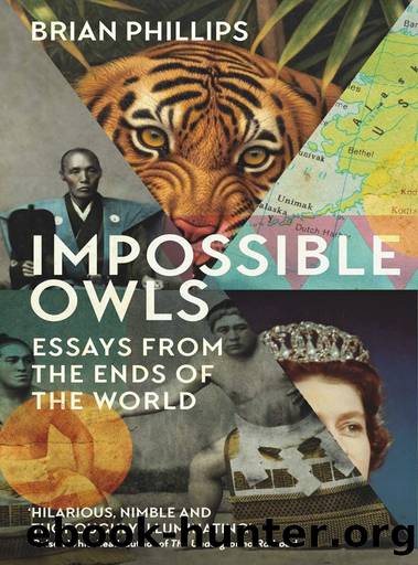 Impossible Owls: Essays by Brian Phillips