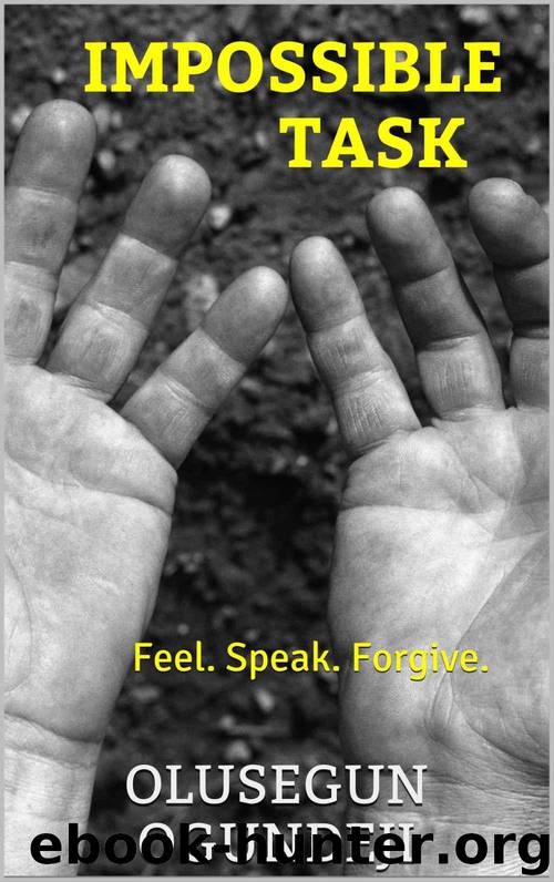 Impossible Task: Feel. Speak. Forgive. by Olusegun Ogundeji