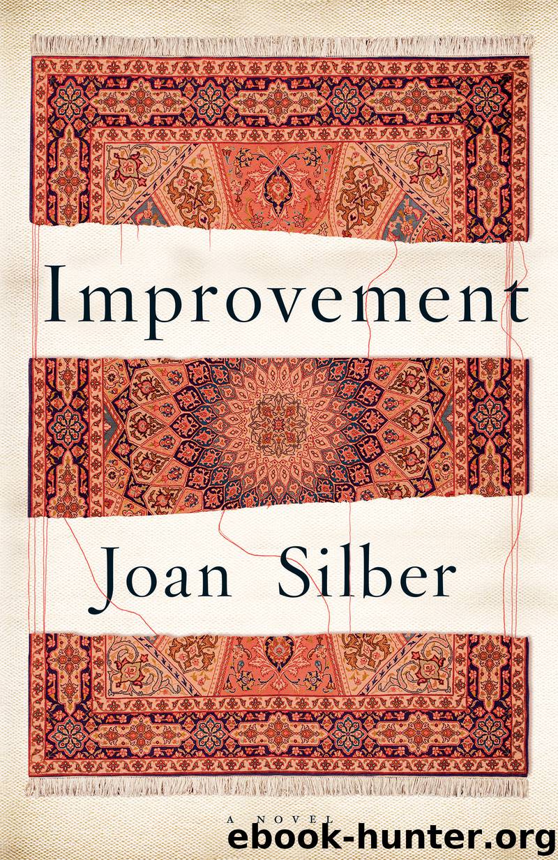 Improvement by Joan Silber