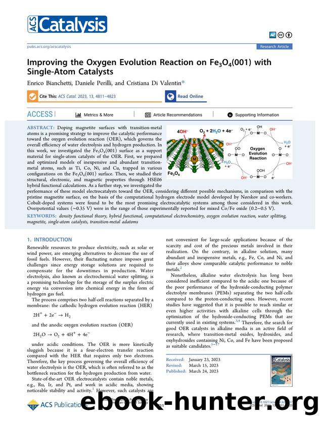 Improving the Oxygen Evolution Reaction on Fe3O4(001) with Single-Atom Catalysts by Enrico Bianchetti Daniele Perilli and Cristiana Di Valentin