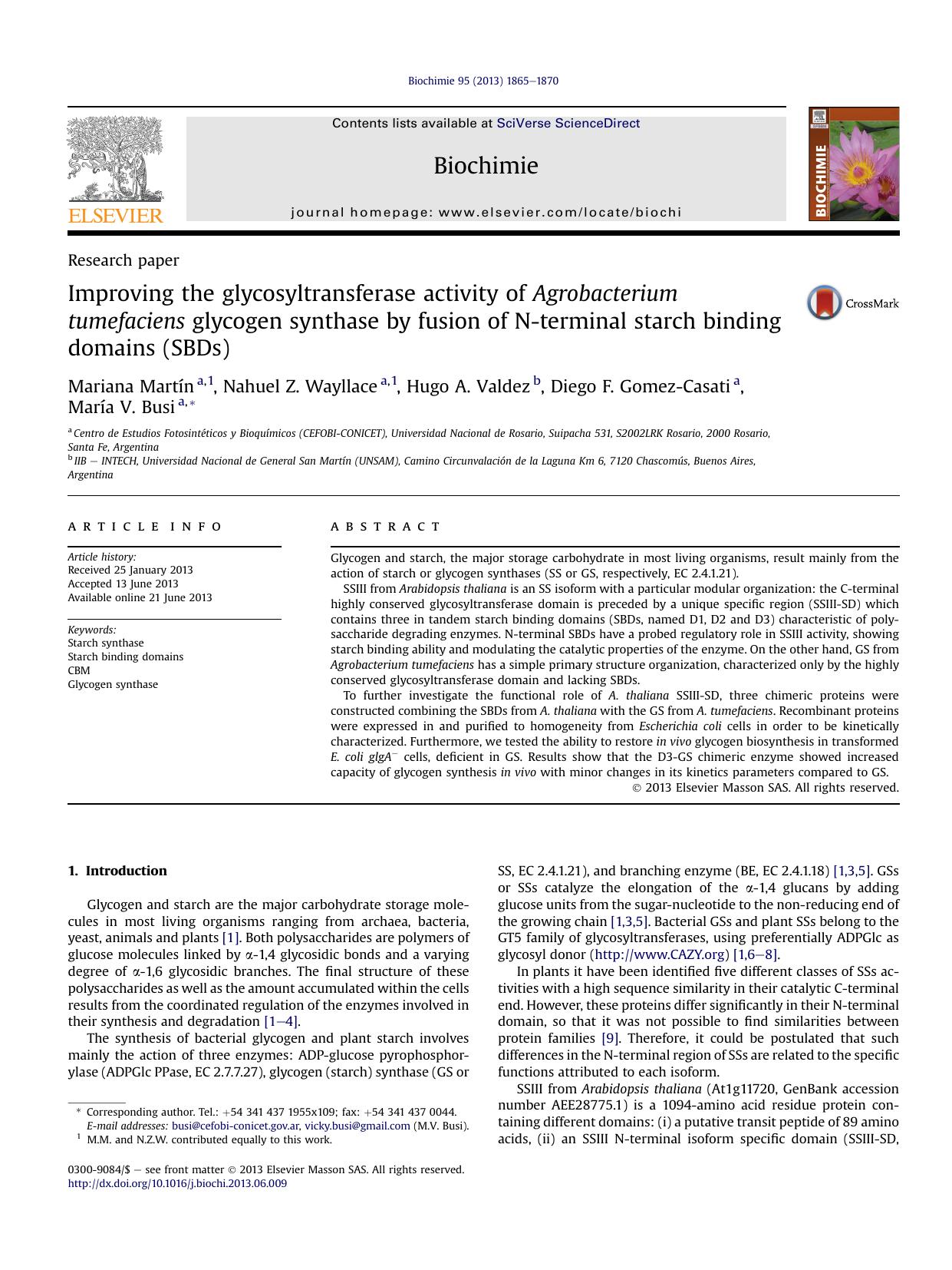 Improving the glycosyltransferase activity of Agrobacterium tumefaciens glycogen synthase by fusion of N-terminal starch binding domains (SBDs) by Mariana Martín & Nahuel Z. Wayllace & Hugo A. Valdez & Diego F. Gomez-Casati & María V. Busi