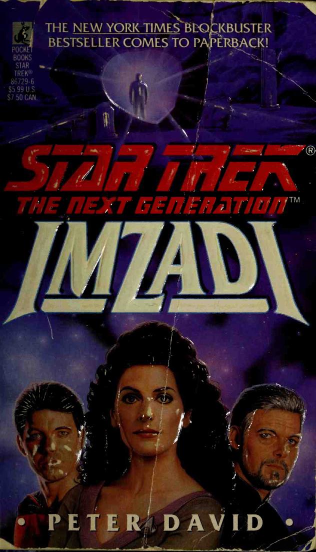 Imzadi (Star Trek: The Next Generation) by Peter David