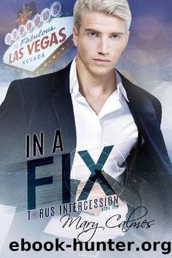 In A Fix: Torus Intercession Book Two by Mary Calmes