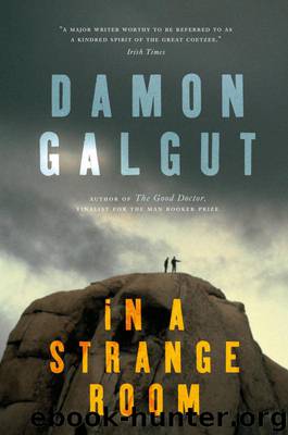 In A Strange Room: Three Journeys by Damon Galgut