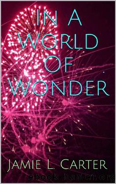 In A World Of Wonder by Jamie L. Carter