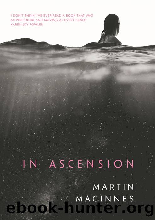 In Ascension by Martin MacInnes