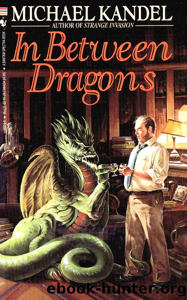 In Between Dragons by Michael Kandel