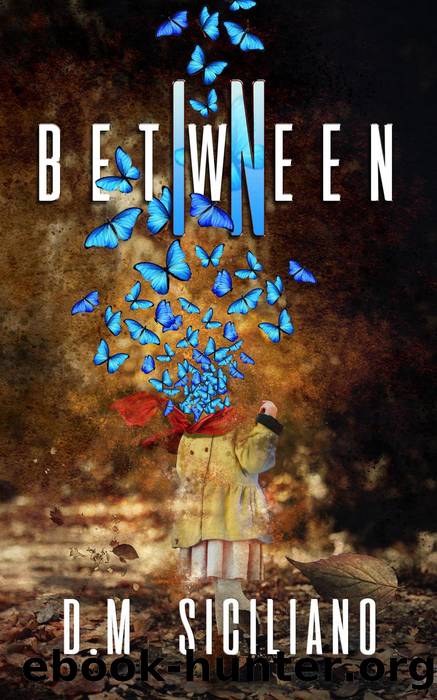 In Between by DM Siciliano