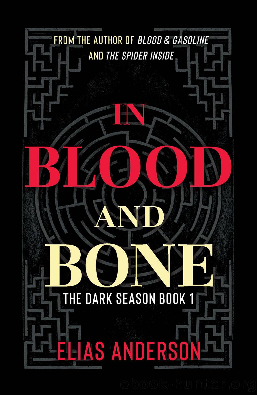In Blood and Bone by Elias Anderson