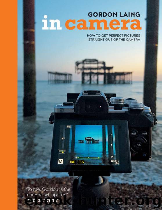 In Camera: Perfect Pictures Straight Out of the Camera by Gordon Laing
