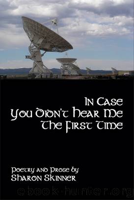 In Case You Didn't Hear Me the First Time by Sharon Skinner