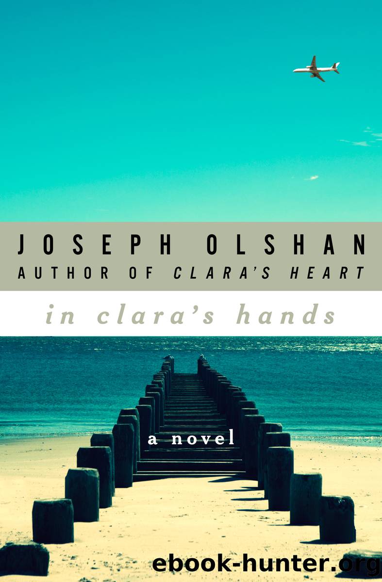 In Clara's Hands by Joseph Olshan
