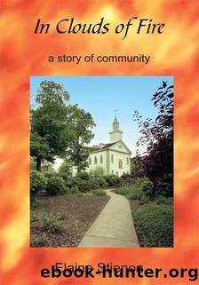 In Clouds of Fire by Elaine Stienon