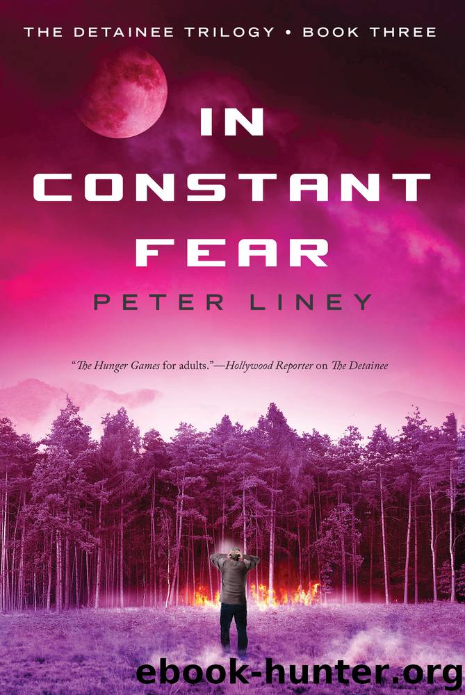 In Constant Fear by Peter Liney