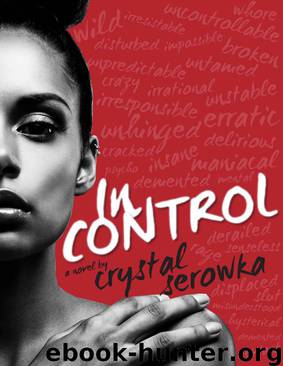 In Control (The City Series) by Crystal Serowka