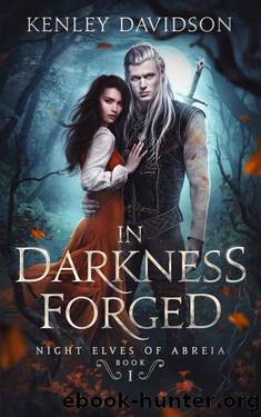 In Darkness Forged (Night Elves of Abreia Book 1) by Kenley Davidson
