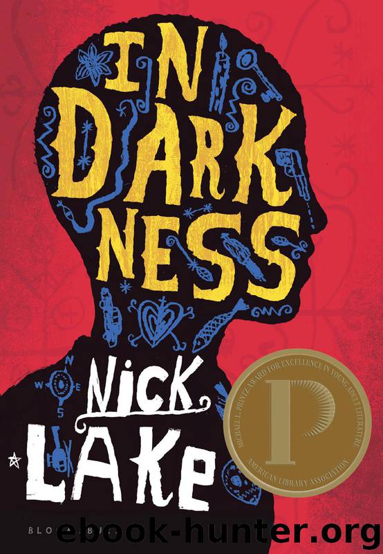 In Darkness by Nick Lake