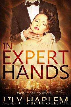 In Expert Hands by Lily Harlem